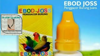 EBOD JOSS VITAMIN BURUNG MENINGKATKAN STAMINA TENAGA GACOR NAFAS PANJANG