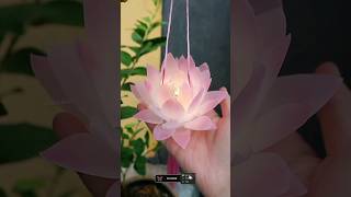 Diy plastic bottle flower | light decor ideas | lotus craft ideas | #diy #shorts #viralshorts #craft