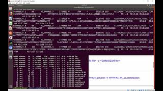 ngs sam samtools