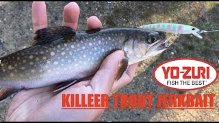 Trout Destroying TINY JERKBAIT || Trout Fishing Is On FIRE!!