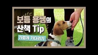 가볍게 기다리기｜보듬 용쌤의 Tip