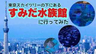 東京スカイツリーの下にある【すみだ水族館】に行ってみた