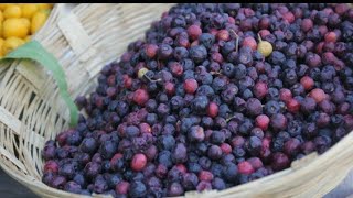 Falsa products |seasonal fruit #healthyrecipes#differenttaste #mustwatch