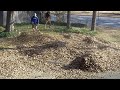 start leaf cleanup.mov