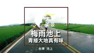 台東 梅雨池上 青綠大地真有味 - 美景系列