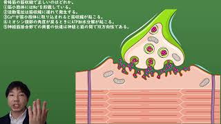 筋収縮のメカニズム「国家試験解説」