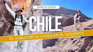 El IMPONENTE desierto de Atacama en CHILE | El Vuelo de la Garza | Mónica Garza