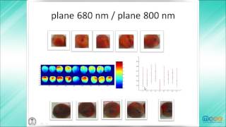 MOOC Frutura technlologies 5.2: Multispectral and hyperspectral vision (III)