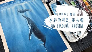 CHEN水彩教程2_座头鲸 Watercolor Tutorial step by step_humpback whale