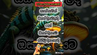 මේක දැනගෙන ඉන්න එක ගොඩක් හොදයි.#shorts