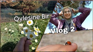 Öylesine Bir Vlog 2 | Köy | Çeşme | Temiz Hava