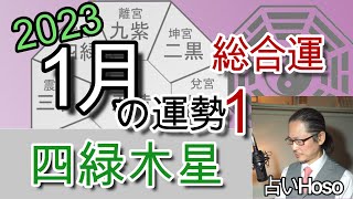 1月の運勢(総合)【四緑木星】2023年 九星 タロット 占い