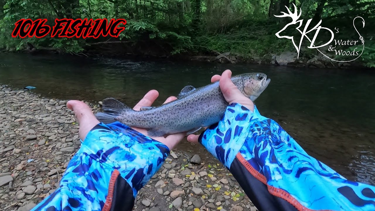 RAINBOW TROUT - HIAWASSEE GEORGIA🎣🎣 - YouTube