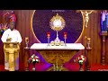 triduum of the holy trinity live adoration 30 holy mins 9 june 2022