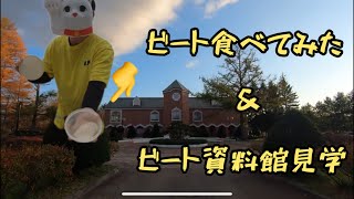 ビートを生で食べてみた＆ビート資料館見学！