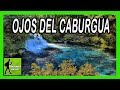 ✅ Ojos del Caburgua | Paseo Virtual | Viajando en HD