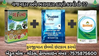 શિયાળુ પાક માં છેલ્લો રાઉન્ડ....... વજનદાર અને ભરાવદાર દાણો બનાવશે #agriculture