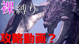 【MHWI実況】攻略動画か？闘技場で上位リオレイア亜種を裸ハンマーで攻略【2人でモンハン裸生活】