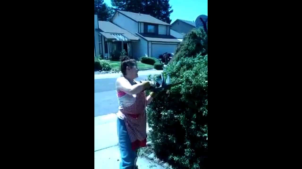 How To Trim Your Bush Youtube
