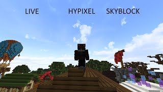 Playing skyblock i guess (hypixel skyblock) I Road to 269 Subscribers
