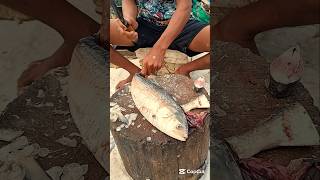 Hilsa Fish Cutting Skills #shorts