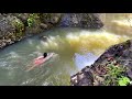 Hike and Swim to Secret Waterfall on Road to Hana, Maui | Bamboo Forest Waterfalls Trail