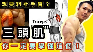 想要粗壯手臂⁉️一定要學懂這個✅滑輪器三頭肌下壓｜Francis Lam 健身教練團隊