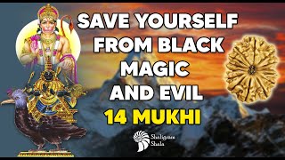 CONTROL THE ILL EFFECTS OF SHANI !! Wear 14 Mukhi