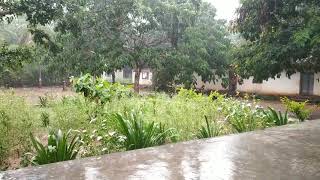 Rain in Karnataka - 2021 | Village life | Tumkur