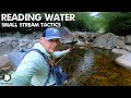 Mastering Small Stream Tactics - READING WATER - FINDING FISH