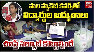 Milk Packet Cover Reuse Ideas | పాల ప్యాకెట్ కవర్ పడేస్తున్నారా? Waste Material Craft Ideas | BIG TV