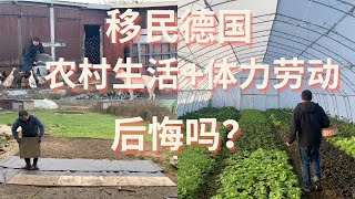 移民德国，农村生活+体力劳动，后悔吗？#移民 #移民德国 #移民生活 #immigrant life #immigrants