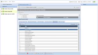 Core-Admin processes and service viewer