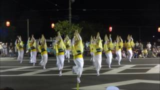 開成町阿波おどり2016【天狗連】輪踊り