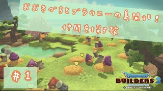 【ドラクエビルダーズ2 】おおきづちとブラウニーの島 #1【かいたく島】