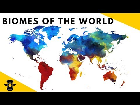 What are the 7 biomes of the world?