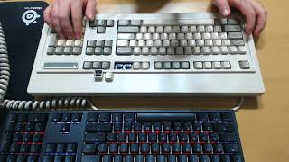 NEC 청축 스위치 키보드 타건영상 (NEC APC H410 Keyboard)