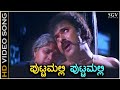 Puttamalli Puttamalli - Putnanja - HD Video Song | Ravichandran | Meena | Mano | Hamsalekha