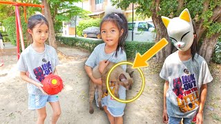 ลูกแมว VS ลูกบอล | บริ้งค์ไบรท์