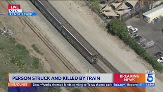 Pedestrian hit and killed by train in Glassell Park