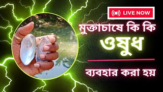 মুক্তা চাষে ঔষধের ব্যবহার । Medicine use process in pearl cultivation @apurba.online