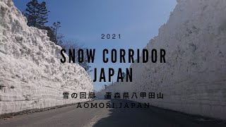 雪の回廊　青森県八甲田　Snow corridor in Aomori,JAPAN