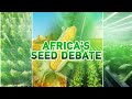 Talk Africa: The indigenous seed debate