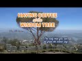 Hike to the Wisdom Tree and Hollywood Sign: BEST VIEWS OF LOS ANGELES