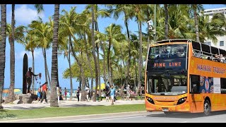 Waikiki Trolley Tour | City Sightseeing | Pink Line in Honolulu Hawaii