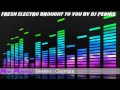 Fresh Electro mix [Dj Pernix] [#2]