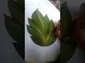 cloth painting|| leaf design|| #clothing #painting