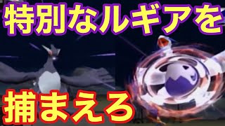 特別なワザを覚えたルギアをゴジャボに入れよう【ポケモンXD】