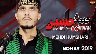 Mehdi Humshari | Habibi Ya Hussain (Arabic / Farsi) | Nohay 2019 / 1441