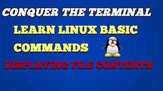 Conquer the Terminal: Learn Linux cat Command